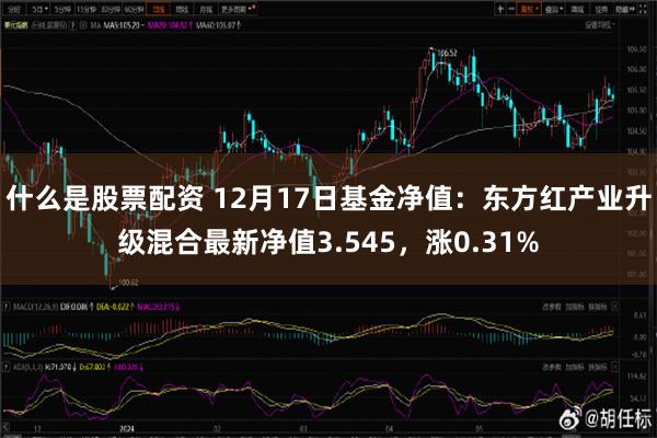 东方红五号最新净值深度解析及投资展望