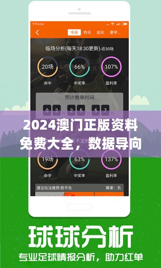 2024新澳门正版免费正题,深入执行计划数据_精英版90.707